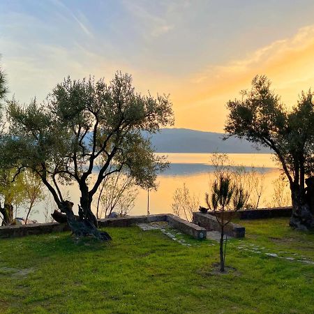 Seafront Traditional Stone House In Sunset Olive Grove - B Alyfanta Luaran gambar