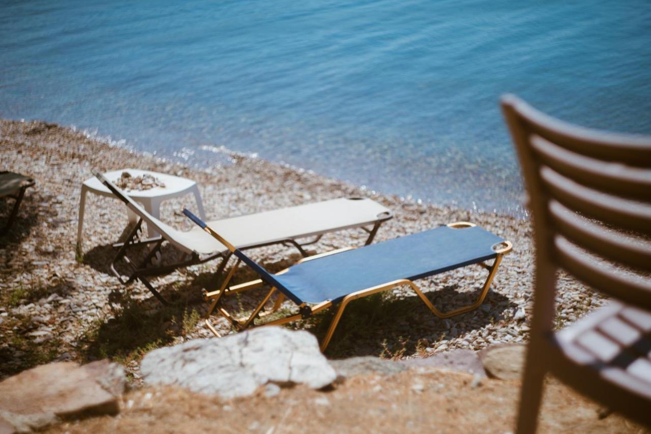 Seafront Traditional Stone House In Sunset Olive Grove - B Alyfanta Luaran gambar