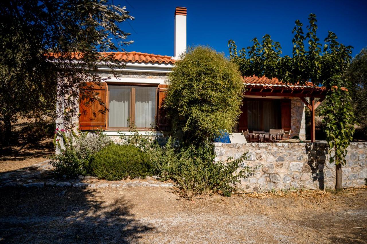 Seafront Traditional Stone House In Sunset Olive Grove - B Villa Alyfanta Luaran gambar