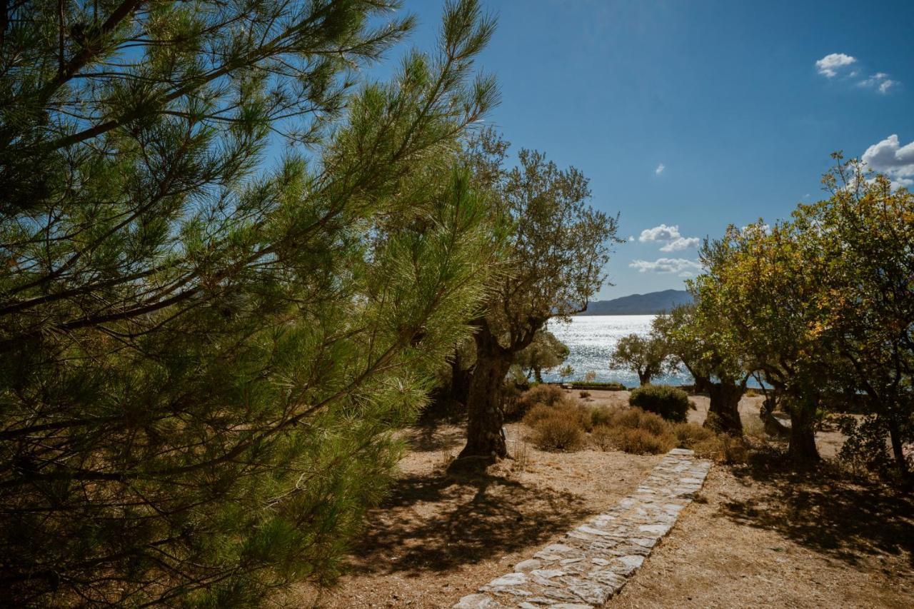 Seafront Traditional Stone House In Sunset Olive Grove - B Alyfanta Luaran gambar