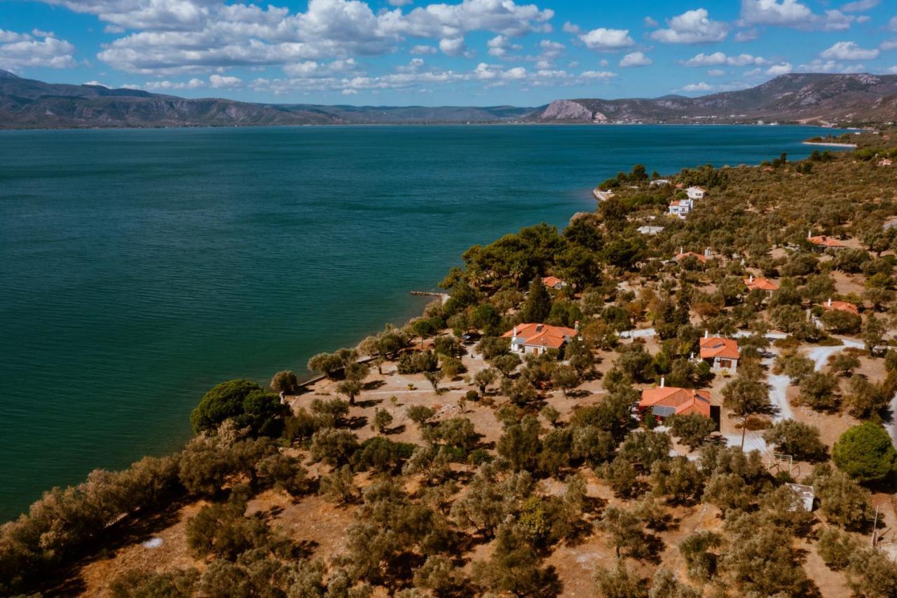 Seafront Traditional Stone House In Sunset Olive Grove - B Alyfanta Luaran gambar